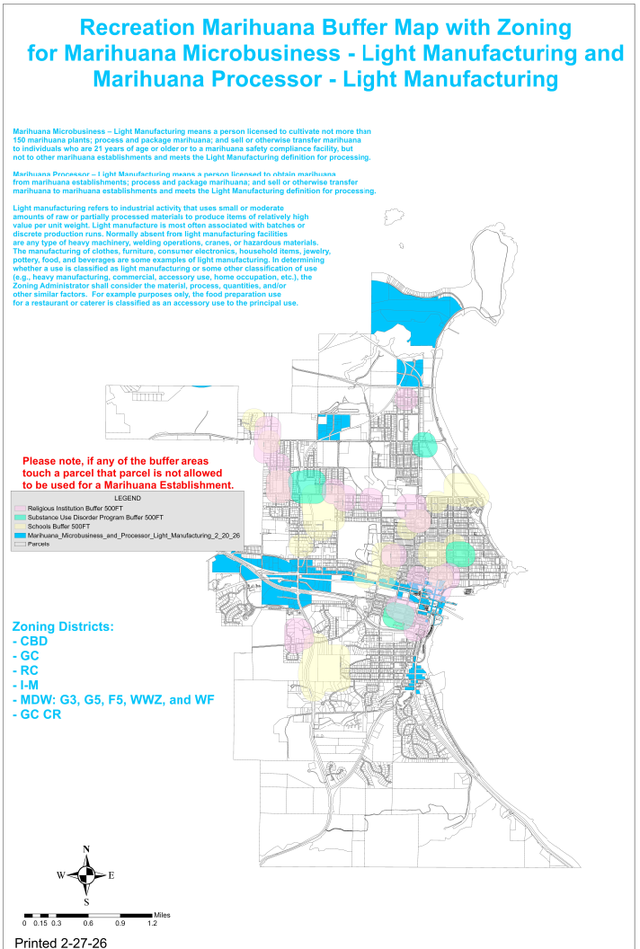 Microbusiness and Processor Light Manufacturing